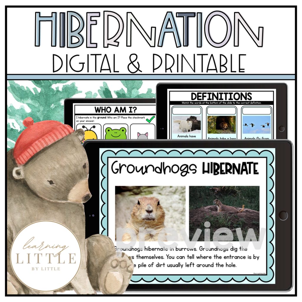 Hibernation Inquiry Kindergarten & First Grade