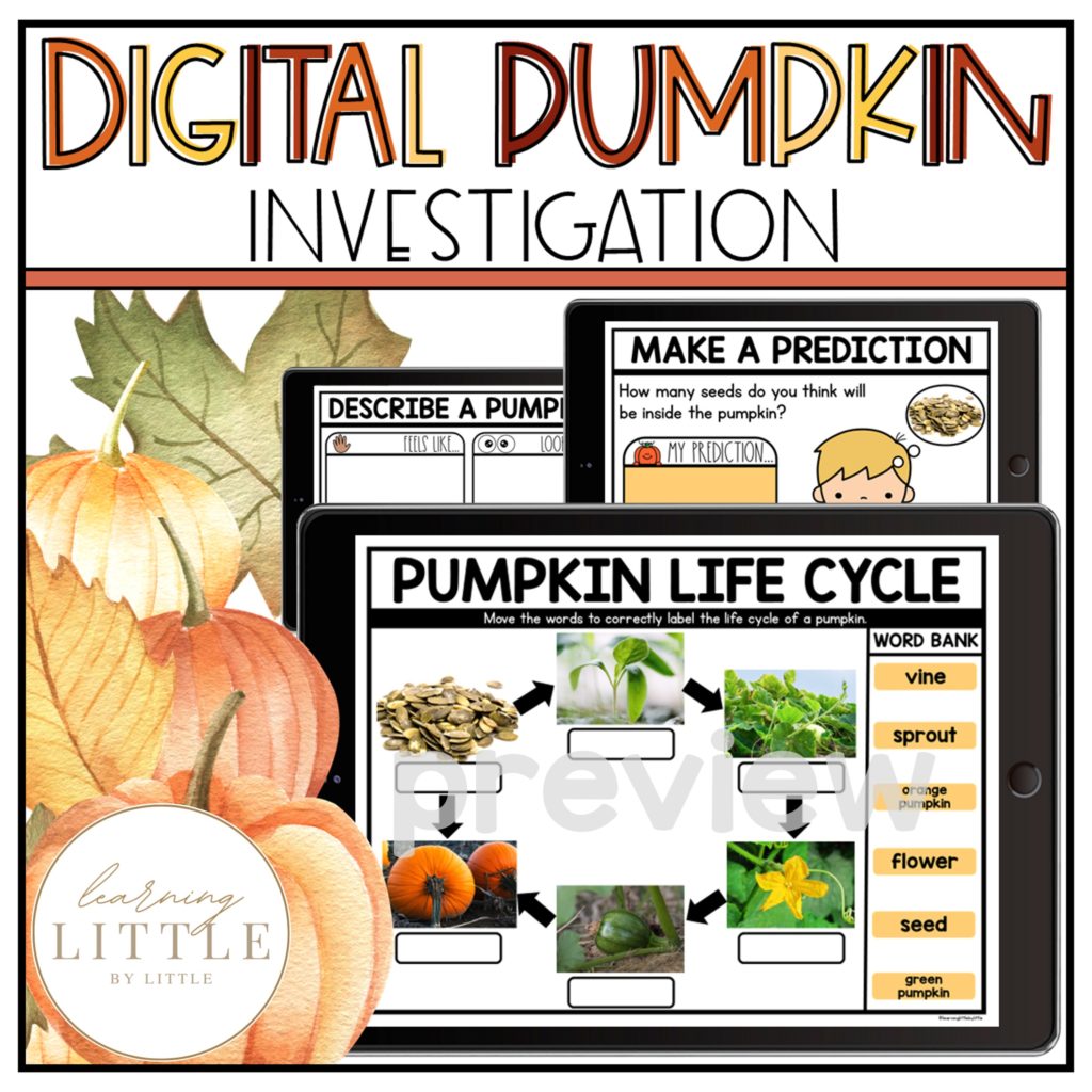 Pumpkin Investigation Digital and Printable Activities