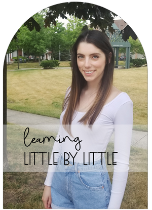 Learning Little By Little Author